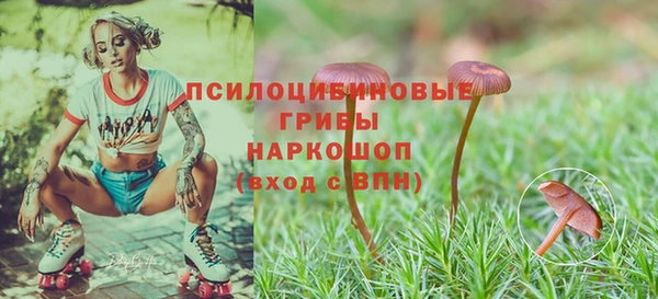 прущая мука Алексин