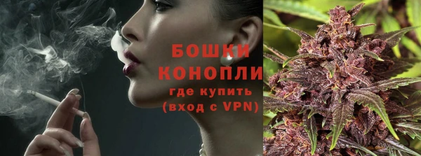гашик Осташков