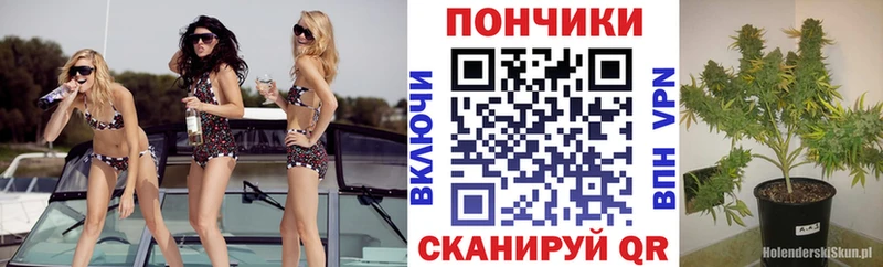 Конопля марихуана  Пролетарск 